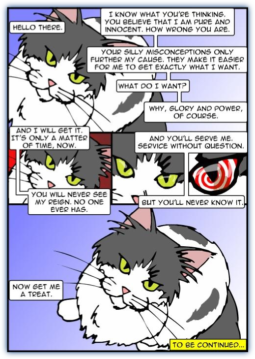kitty